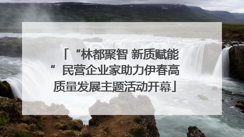 “林都聚智 新质赋能”民营企业家助力伊春高质量发展主题活动开幕