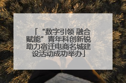 “数字引领 融合赋能”青年科创新锐助力宿迁电商名城建设活动成功举办