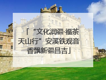 “文化润疆·福茶天山行”安溪铁观音香飘新疆昌吉