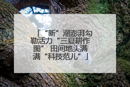“新”潮澎湃勾勒活力“三夏耕作图” 田间地头满满“科技范儿”