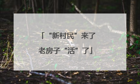 “新村民”来了 老房子“活”了