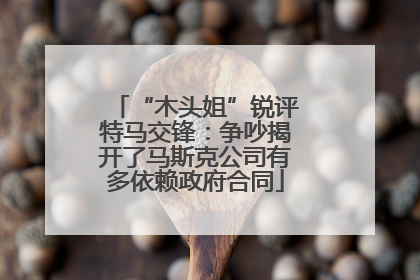 “木头姐”锐评特马交锋：争吵揭开了马斯克公司有多依赖政府合同