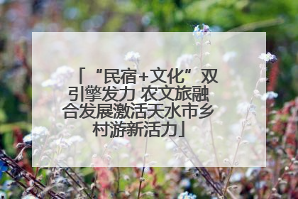 “民宿+文化”双引擎发力 农文旅融合发展激活天水市乡村游新活力