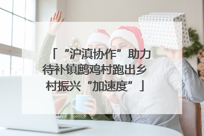 “沪滇协作”助力待补镇鹧鸡村跑出乡村振兴“加速度”