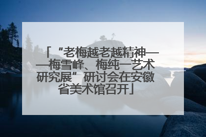 “老梅越老越精神——梅雪峰、梅纯一艺术研究展”研讨会在安徽省美术馆召开