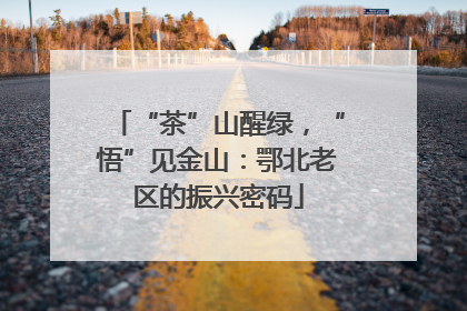 “茶”山醒绿，“悟”见金山：鄂北老区的振兴密码