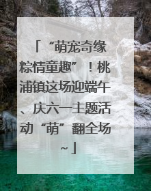“萌宠奇缘 粽情童趣”！桃浦镇这场迎端午、庆六一主题活动“萌”翻全场～