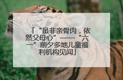 “虽非亲骨肉，依然父母心”——“六一”前夕多地儿童福利机构见闻