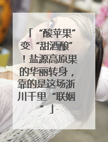 “酸苹果”变“甜酒酿”！盐源高原果的华丽转身，靠的是这场浙川千里“联姻”