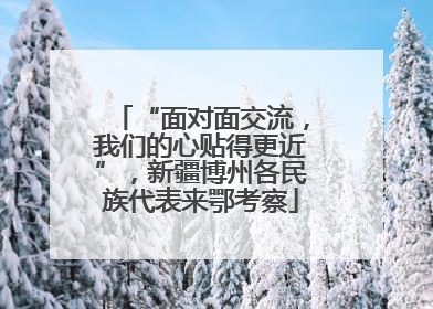 “面对面交流，我们的心贴得更近”，新疆博州各民族代表来鄂考察