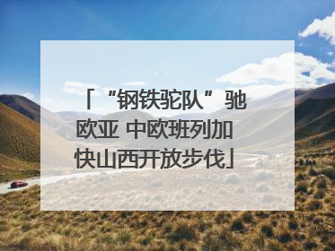 “钢铁驼队”驰欧亚 中欧班列加快山西开放步伐