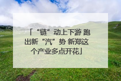 “链”动上下游 跑出新“汽”势 新郑这个产业多点开花
