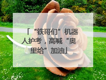 “铁哥们”机器人护考，高喊“奥里给”加油