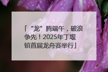 “龙”腾端午，破浪争先！2025年丁堰镇首届龙舟赛举行