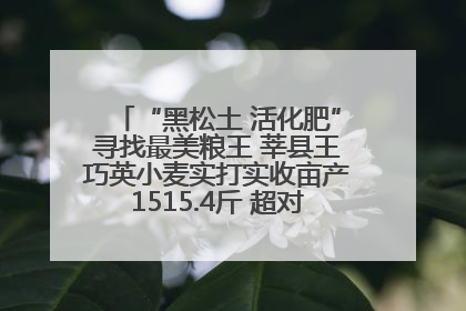 “黑松土 活化肥”寻找最美粮王 莘县王巧英小麦实打实收亩产1515.4斤 超对照田144斤！