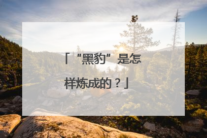 “黑豹”是怎样炼成的？