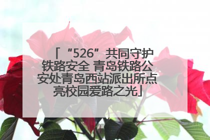 “526”共同守护铁路安全 青岛铁路公安处青岛西站派出所点亮校园爱路之光