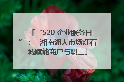 “520 企业服务日”：三湘南湖大市场灯石城赋能商户与职工