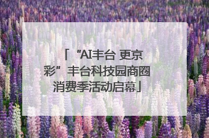 “AI丰台 更京彩”丰台科技园商圈消费季活动启幕