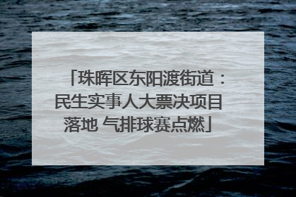 珠晖区东阳渡街道：民生实事人大票决项目落地 气排球赛点燃