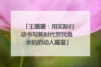 王璐璐：用实际行动书写新时代警民鱼水情的动人篇章