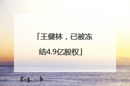 王健林，已被冻结4.9亿股权