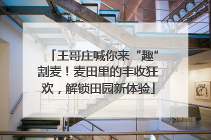 王哥庄喊你来“趣”割麦！麦田里的丰收狂欢，解锁田园新体验