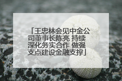 王忠林会见中金公司董事长陈亮 持续深化务实合作 做强支点建设金融支撑