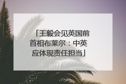 王毅会见英国前首相布莱尔：中英应体现责任担当
