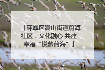 环翠区嵩山街道蔚海社区：文化融心 共建幸福“悦龄蔚海”