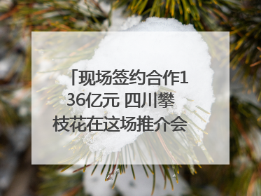 现场签约合作136亿元 四川攀枝花在这场推介会上画“图谱”列“清单”