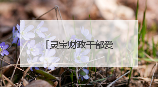 灵宝财政干部爱心汇聚 帮扶患病家庭渡难关