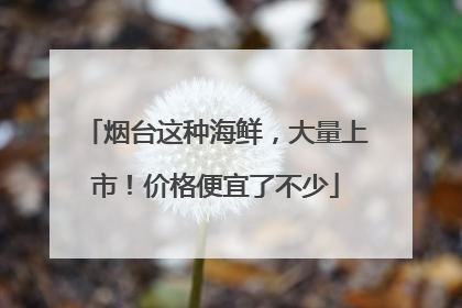 烟台这种海鲜，大量上市！价格便宜了不少