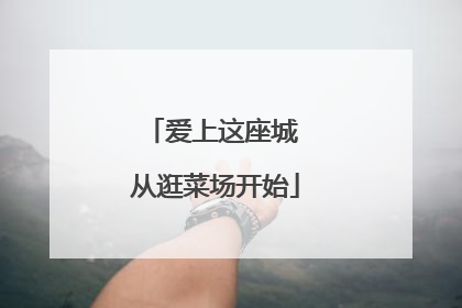 爱上这座城 从逛菜场开始