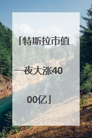 特斯拉市值一夜大涨4000亿