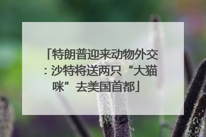 特朗普迎来动物外交：沙特将送两只“大猫咪”去美国首都