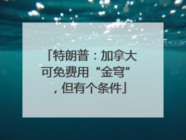 特朗普：加拿大可免费用“金穹”，但有个条件