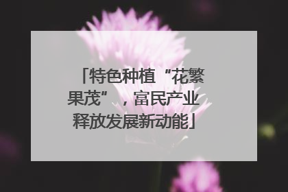 特色种植“花繁果茂”，富民产业释放发展新动能