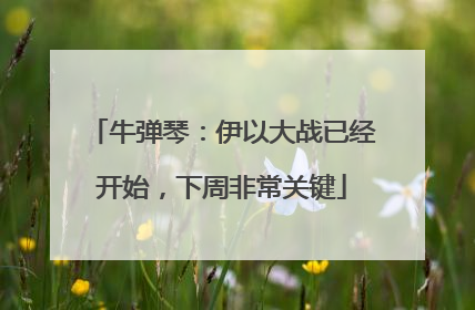 牛弹琴：伊以大战已经开始，下周非常关键
