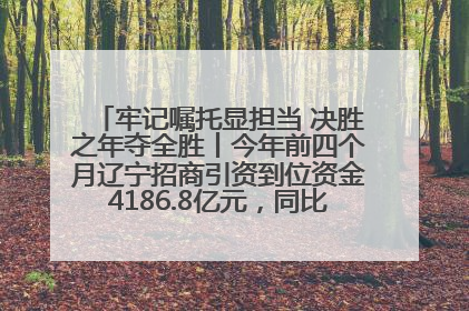 牢记嘱托显担当 决胜之年夺全胜丨今年前四个月辽宁招商引资到位资金4186.8亿元，同比增长17.4%