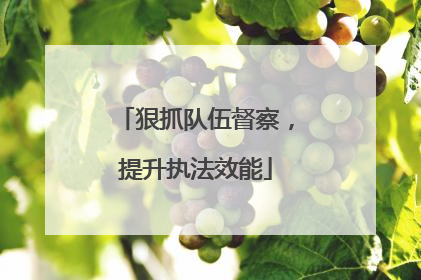 狠抓队伍督察，提升执法效能