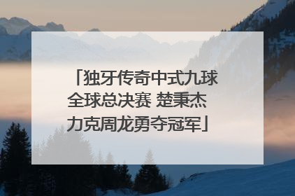 独牙传奇中式九球全球总决赛 楚秉杰力克周龙勇夺冠军