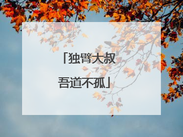 独臂大叔 吾道不孤