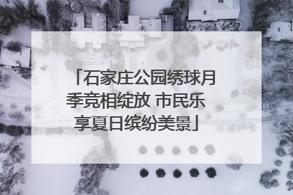 石家庄公园绣球月季竞相绽放 市民乐享夏日缤纷美景