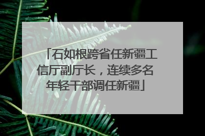 石如根跨省任新疆工信厅副厅长，连续多名年轻干部调任新疆
