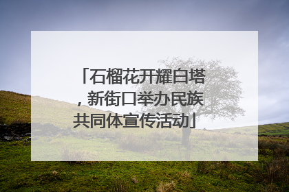 石榴花开耀白塔，新街口举办民族共同体宣传活动