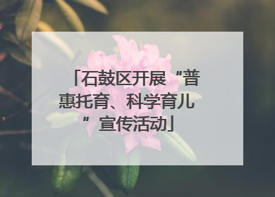 石鼓区开展“普惠托育、科学育儿”宣传活动