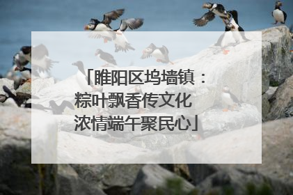 睢阳区坞墙镇：粽叶飘香传文化 浓情端午聚民心