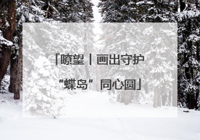瞭望丨画出守护“蝶岛”同心圆