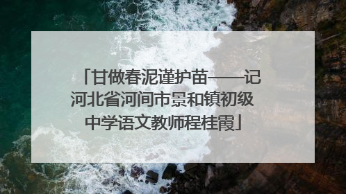 甘做春泥谨护苗——记河北省河间市景和镇初级中学语文教师程桂霞